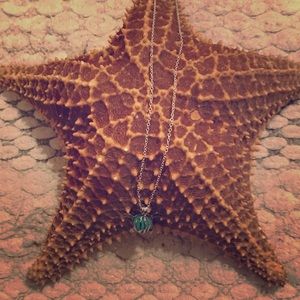 🐢Turtle aroma diffuser necklace🐢